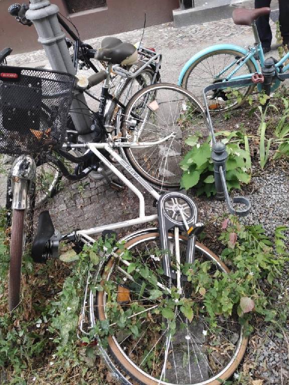 Foto zur Meldung: Abfall - Schrottfahrräder liste