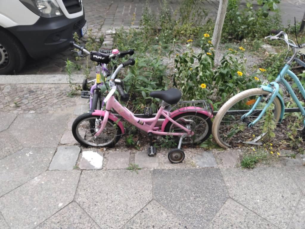 Foto zur Meldung: Abfall - Schrottfahrräder liste