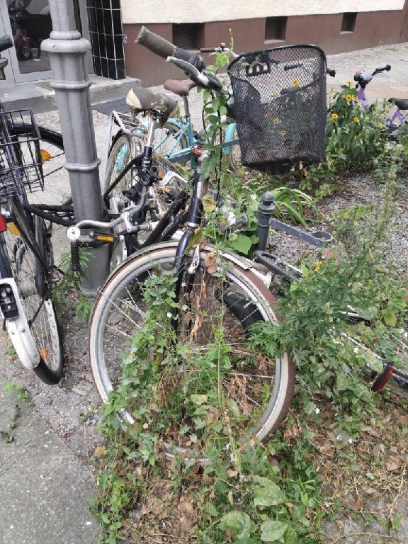 Foto zur Meldung: Abfall - Schrottfahrräder liste