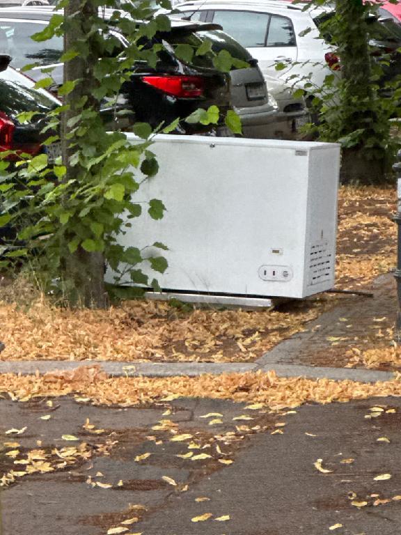 Foto zur Meldung: Abfall - Elektroschrott