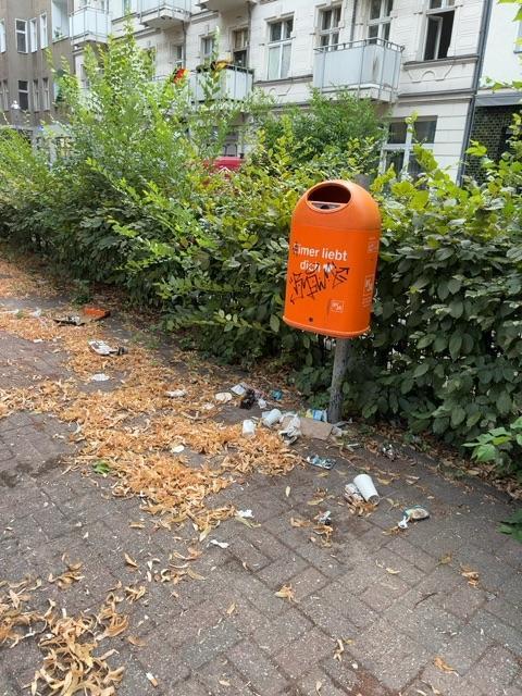 Foto zur Meldung: Straßenaufsicht - Mangelnde Straßenreinigung