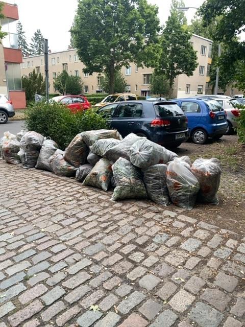 Foto zur Meldung: Abfall - Bioabfälle