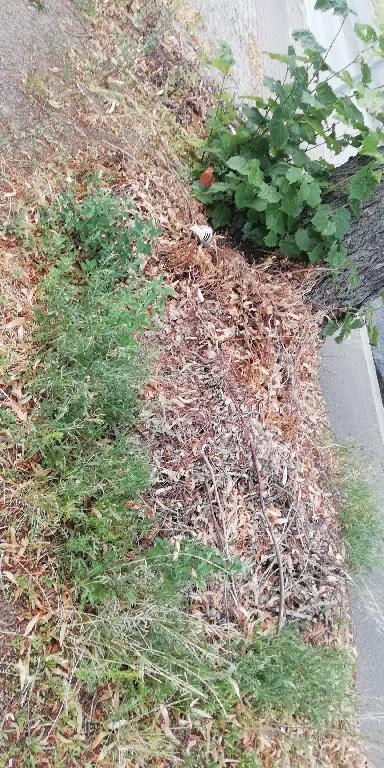 Foto zur Meldung: Abfall - Bioabfälle