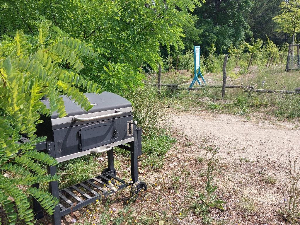 Foto zur Meldung: Abfall - Sonstiges