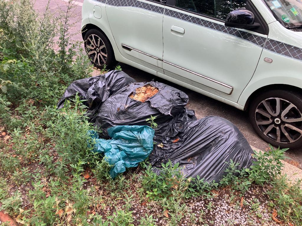 Foto zur Meldung: Abfall - Müllablagerung