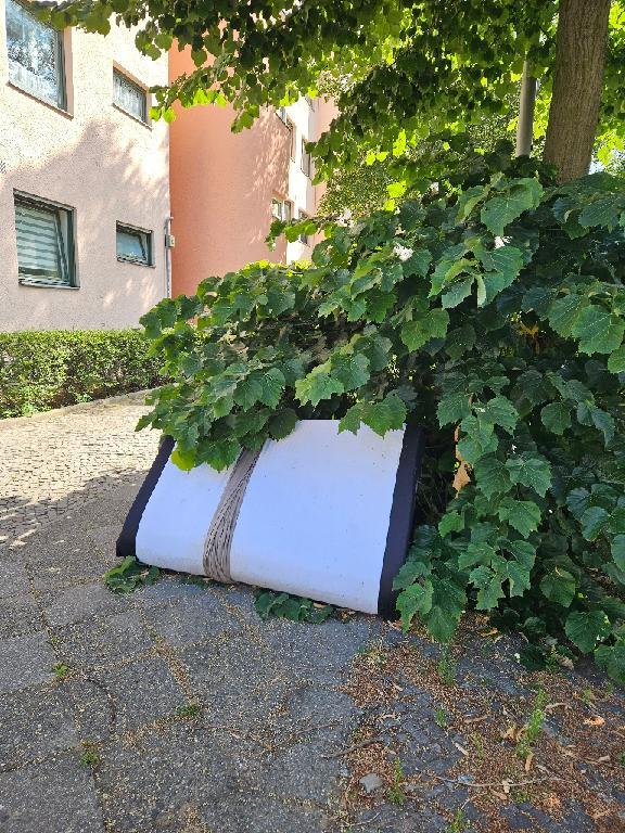 Foto zur Meldung: Abfall - Sperrmüll