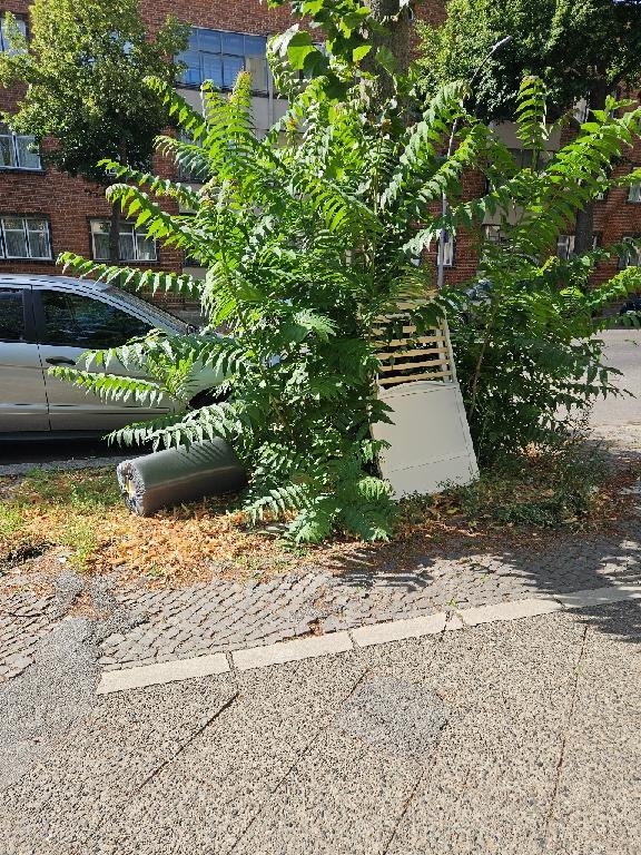 Foto zur Meldung: Abfall - Sperrmüll