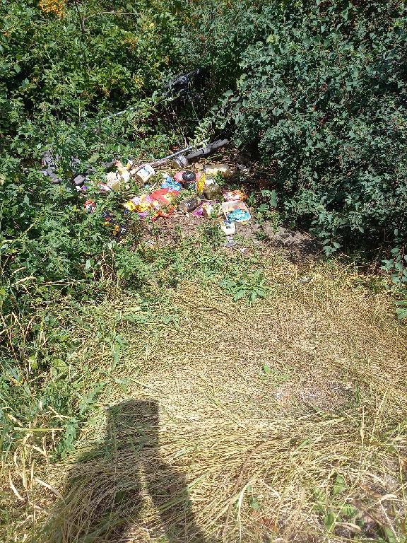 Foto zur Meldung: Abfall - Müllablagerung