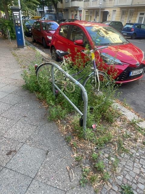 Foto zur Meldung: Abfall - Schrottfahrräder