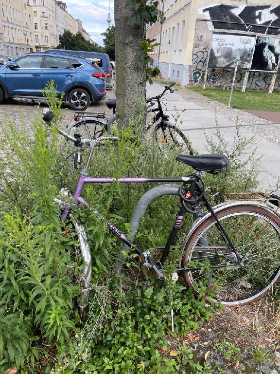Foto zur Meldung: Abfall - Schrottfahrräder
