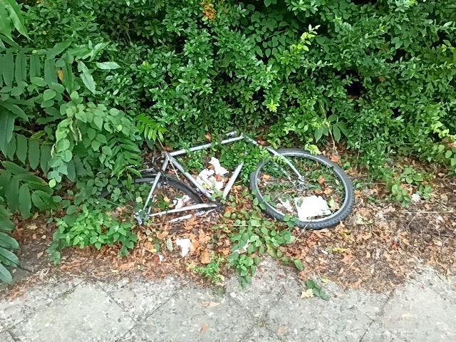 Foto zur Meldung: Abfall - Schrottfahrräder pr.