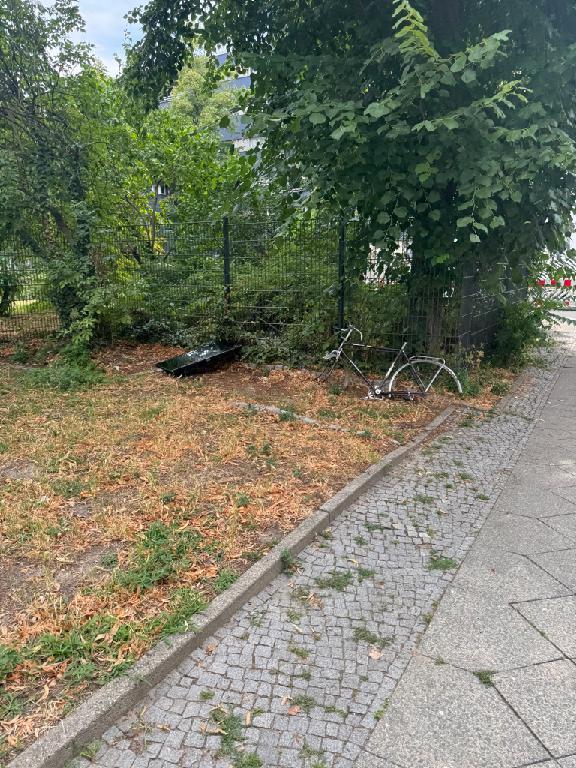 Foto zur Meldung: Abfall - Elektroschrott