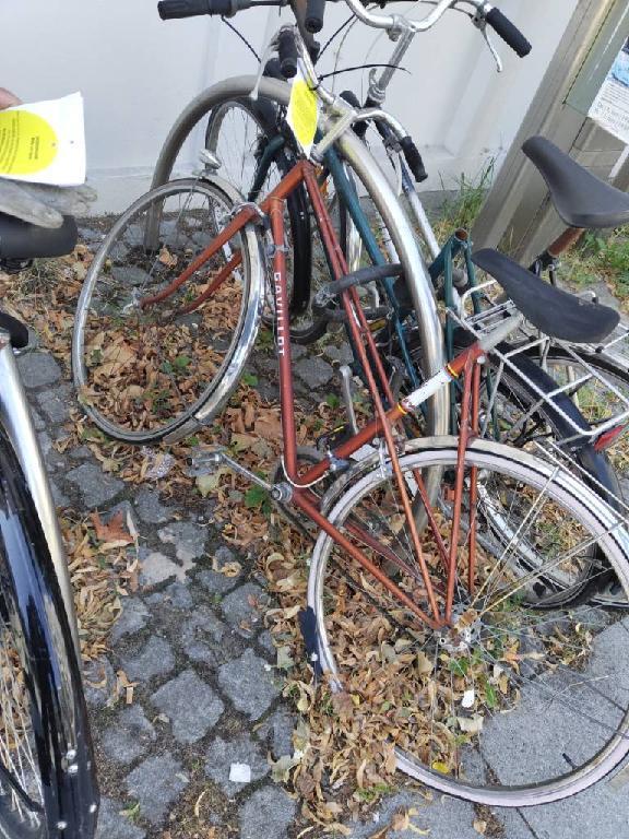 Foto zur Meldung: Abfall - Schrottfahrräder liste