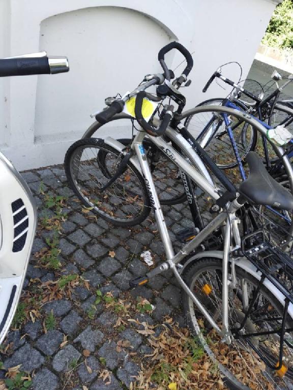 Foto zur Meldung: Abfall - Schrottfahrräder liste