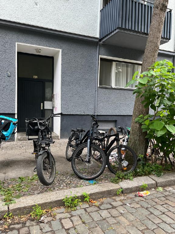 Foto zur Meldung: Baumschutz - Sonstiges