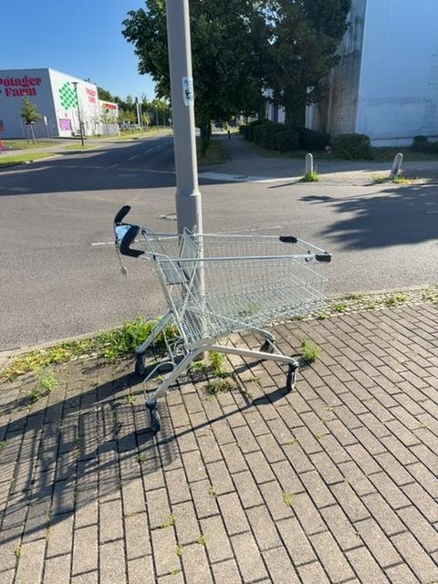 Foto zur Meldung: Abfall - Elektroschrott