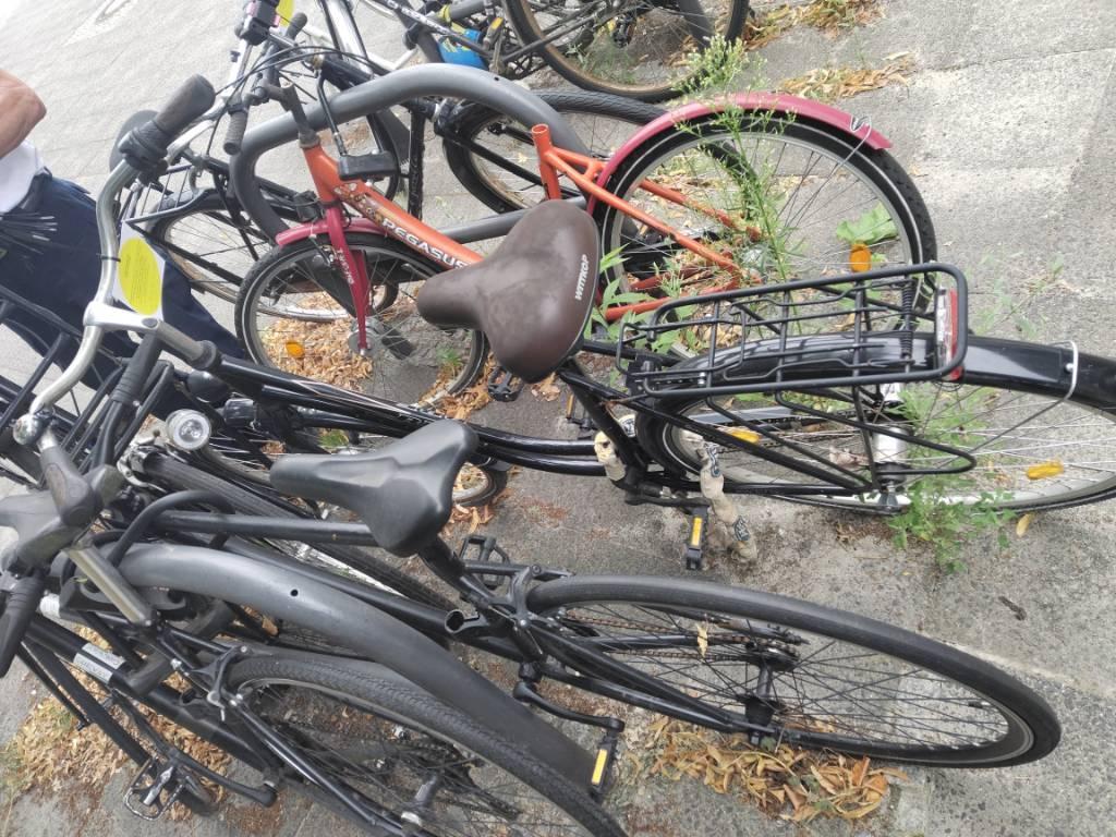 Foto zur Meldung: Abfall - Schrottfahrräder liste