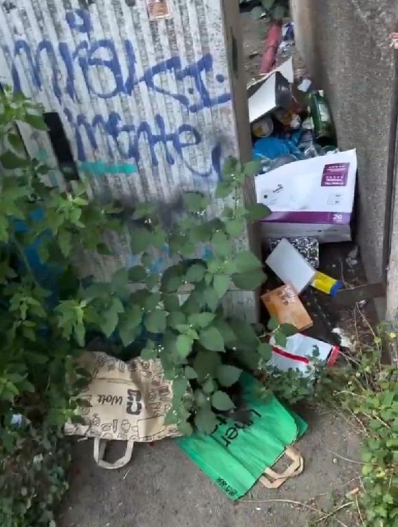 Foto zur Meldung: Abfall - Müllablagerung
