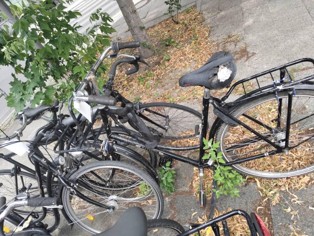 Foto zur Meldung: Abfall - Schrottfahrräder liste
