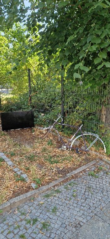 Foto zur Meldung: Abfall - Elektroschrott