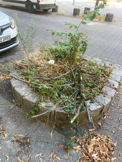 Foto zur Meldung: Abfall - Bioabfälle