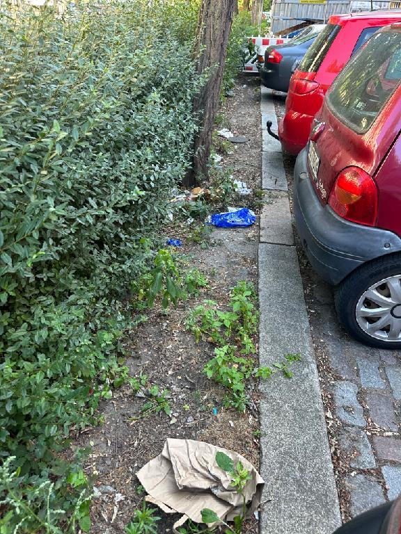 Foto zur Meldung: Abfall - Müllablagerung