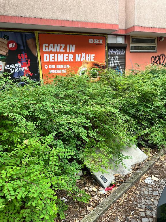 Foto zur Meldung: Abfall - Bauabfälle, Bauschutt