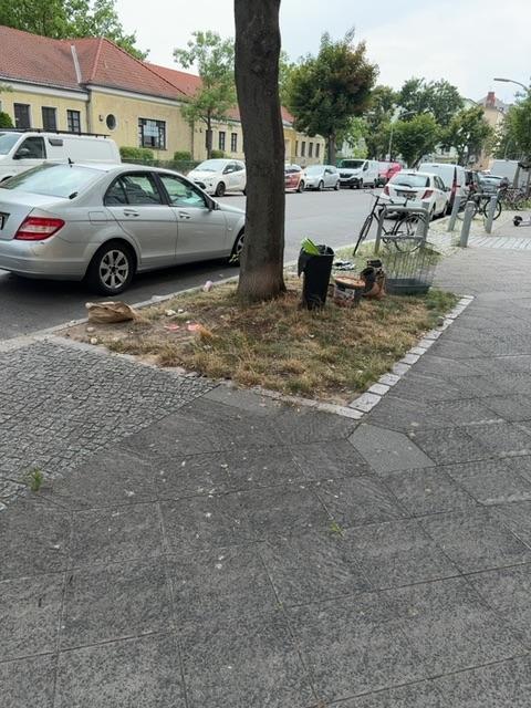 Foto zur Meldung: Abfall - Müllablagerung