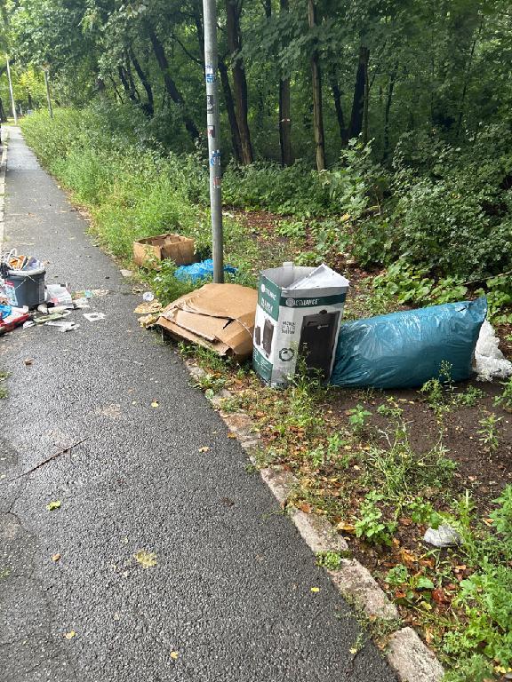 Foto zur Meldung: Abfall - Müllablagerung