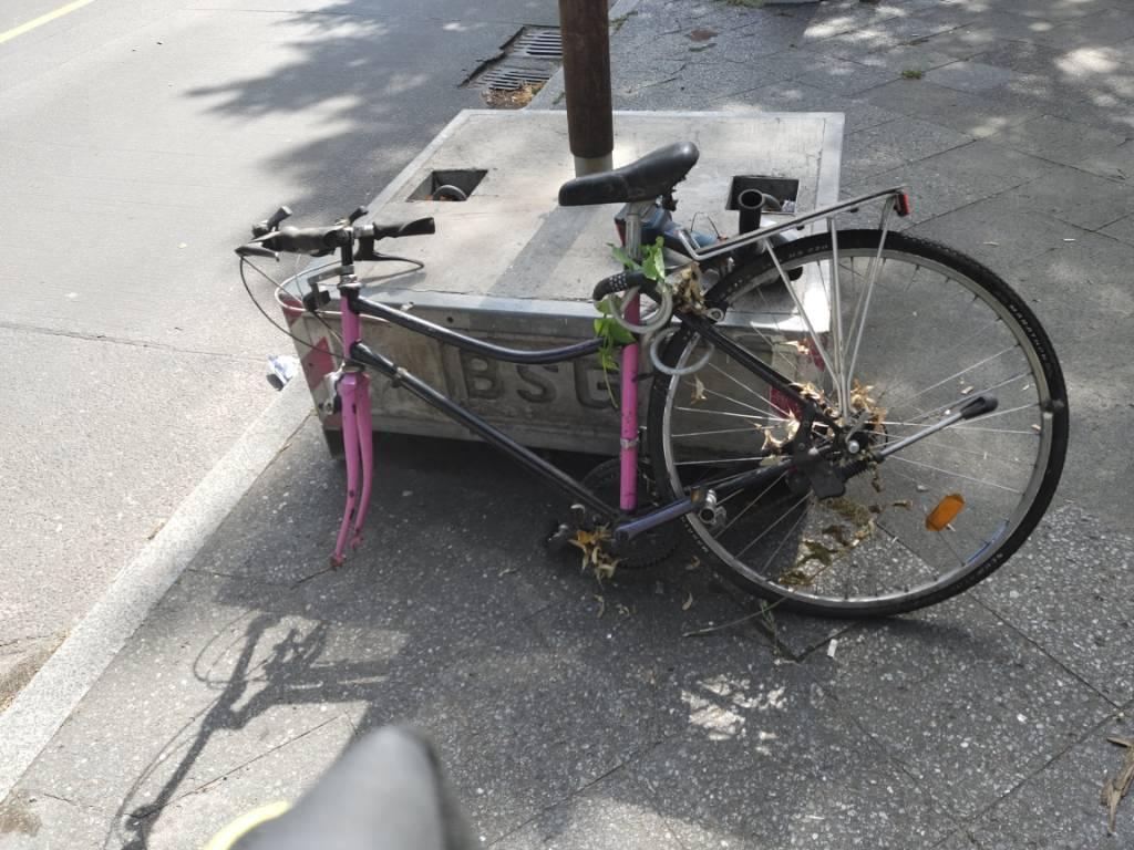Foto zur Meldung: Abfall - Schrottfahrräder entsorgt