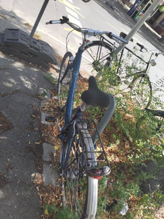 Foto zur Meldung: Abfall - Schrottfahrräder liste