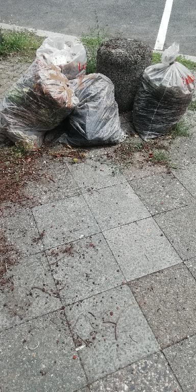 Foto zur Meldung: Abfall - Müllablagerung