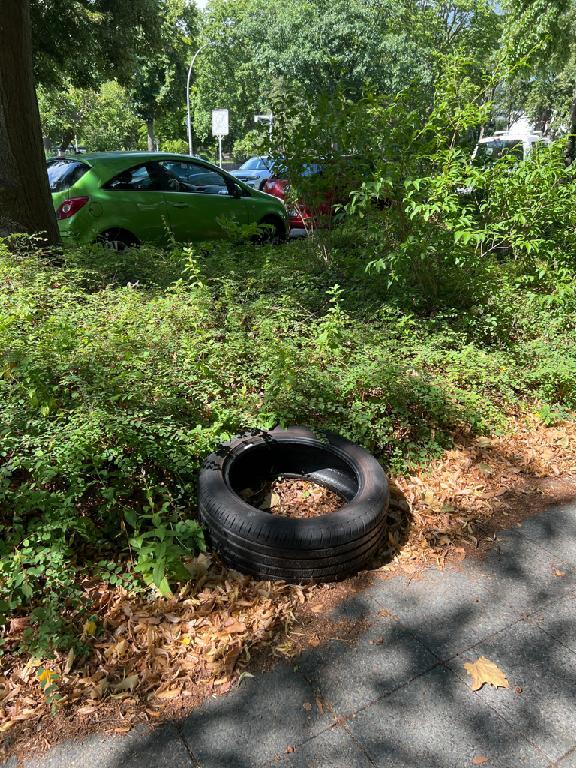 Foto zur Meldung: Abfall - Elektroschrott
