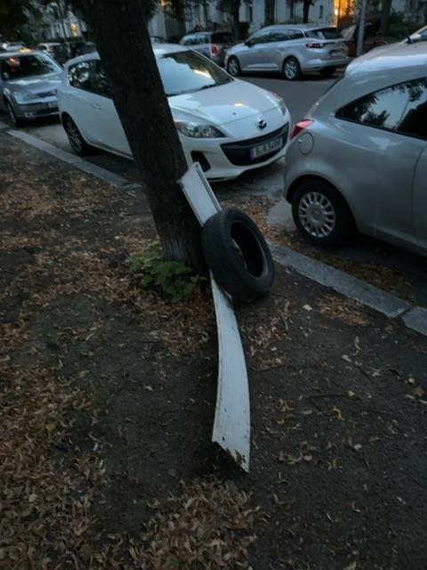 Foto zur Meldung: Abfall - Müllablagerung