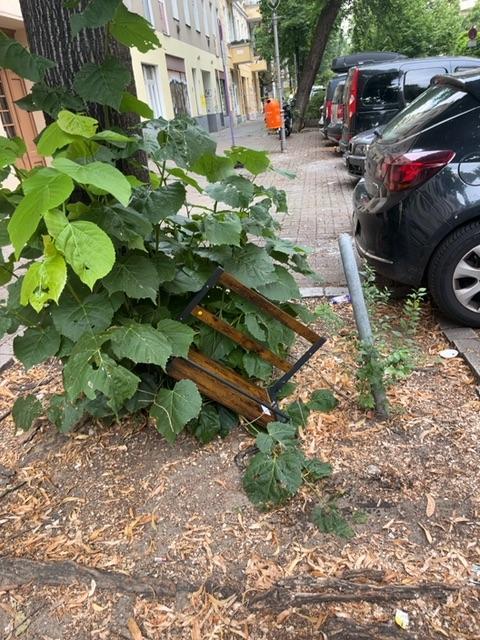 Foto zur Meldung: Abfall - Sperrmüll