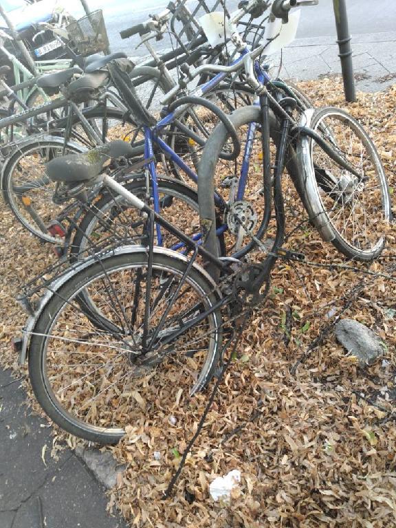 Foto zur Meldung: Abfall - Schrottfahrräder liste