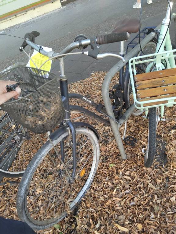 Foto zur Meldung: Abfall - Schrottfahrräder liste