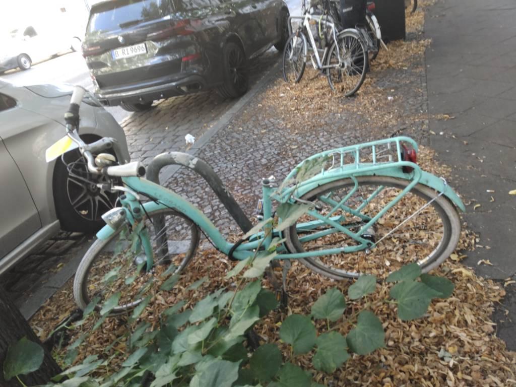 Foto zur Meldung: Abfall - Schrottfahrräder liste