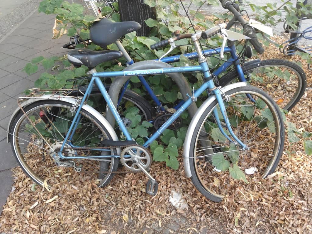 Foto zur Meldung: Abfall - Schrottfahrräder liste