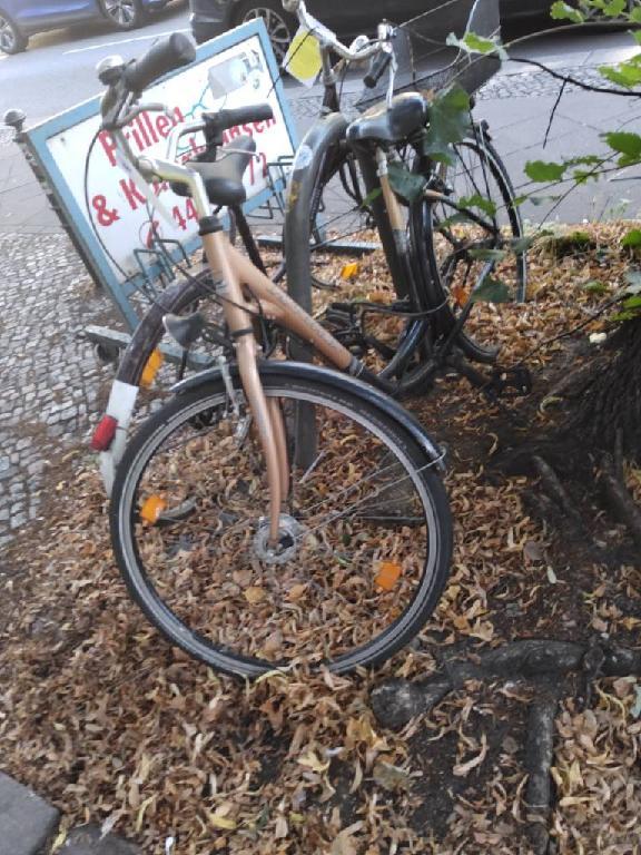 Foto zur Meldung: Abfall - Schrottfahrräder liste