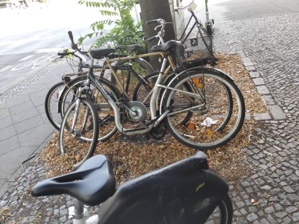 Foto zur Meldung: Abfall - Schrottfahrräder liste