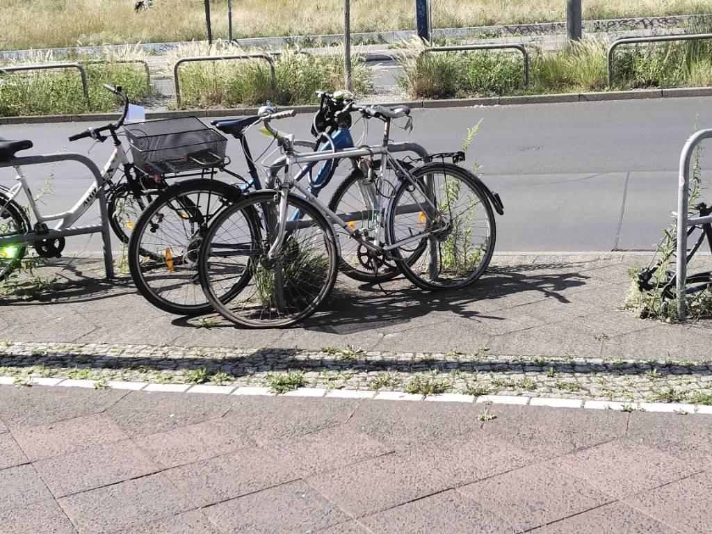 Foto zur Meldung: Abfall - Schrottfahrräder liste