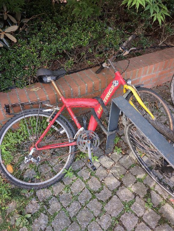 Foto zur Meldung: Abfall - Schrottfahrräder