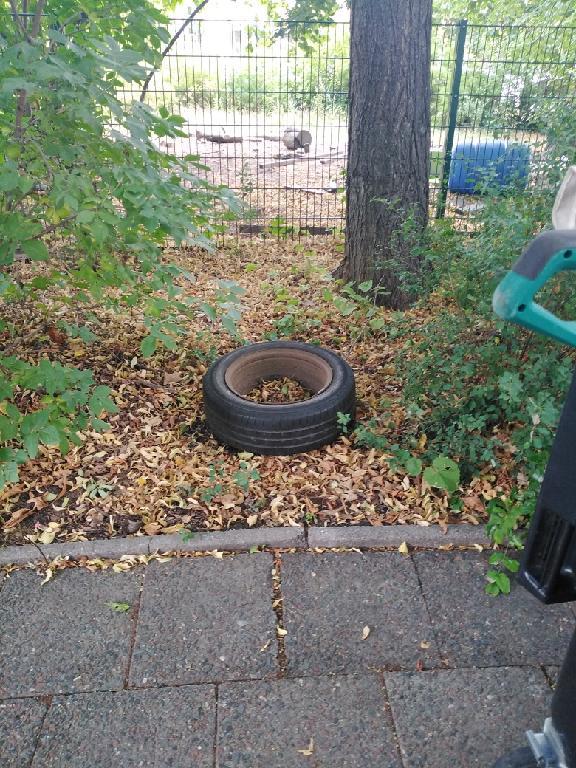 Foto zur Meldung: Abfall - Elektroschrott