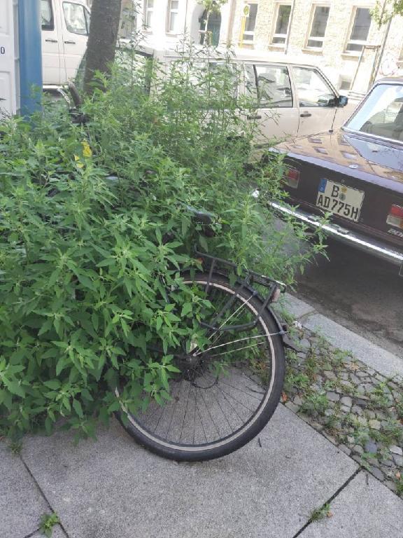 Foto zur Meldung: Abfall - Schrottfahrräder liste