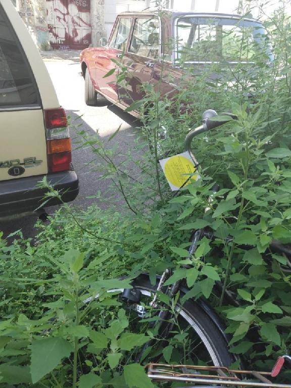 Foto zur Meldung: Abfall - Schrottfahrräder liste