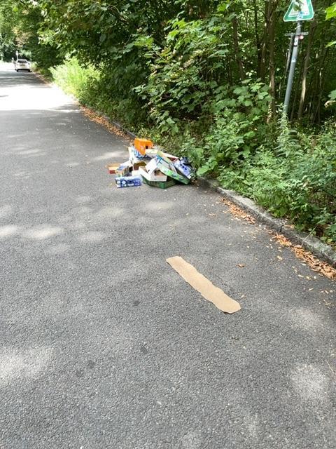 Foto zur Meldung: Abfall - Müllablagerung