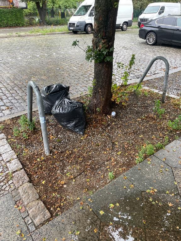Foto zur Meldung: Abfall - Müllablagerung