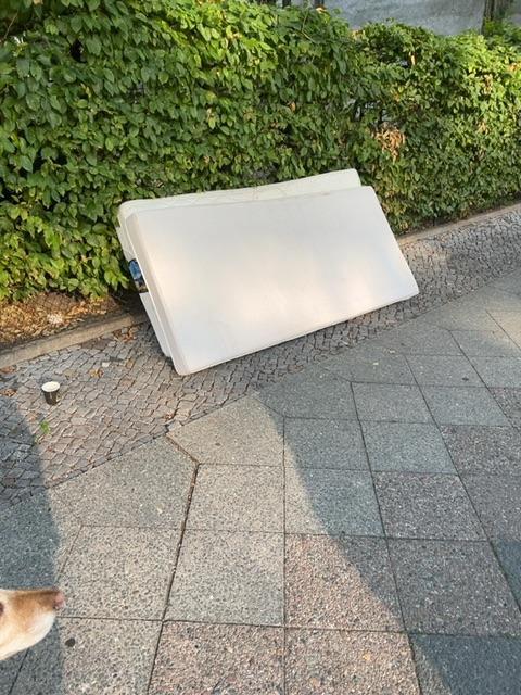 Foto zur Meldung: Abfall - Sperrmüll