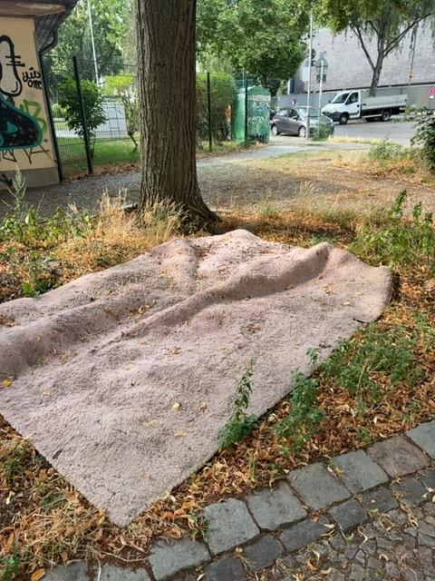 Foto zur Meldung: Abfall - Sperrmüll